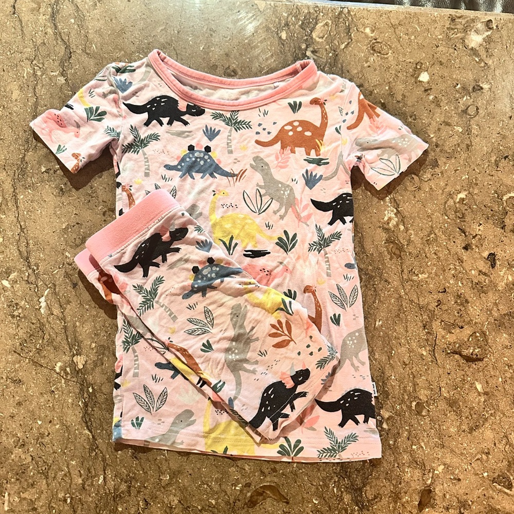 Kids Dinosaur Pajama Set - Pink and Multicolor